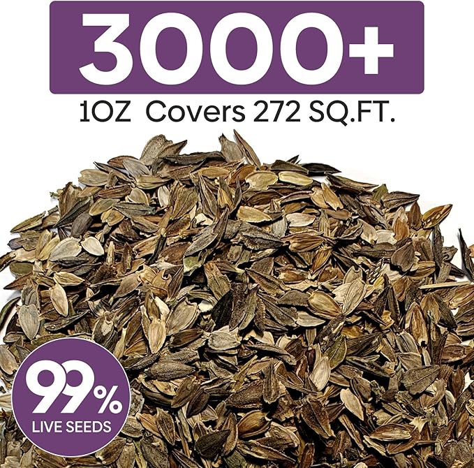 Zinnia Seeds Mix, 1 Oz, Over 3,000 Flowers Seeds, 5 Varieties Garden Seeds (Pink, Yellow, Orange, White, Purple), Mixed Colors and Large Blooms, Seeds for Planting, Open Pollinated - Bulk