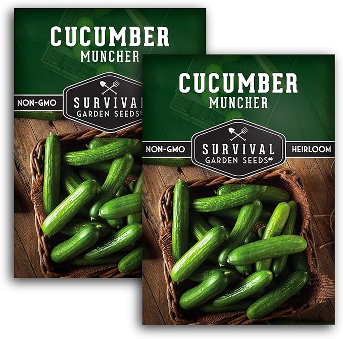 2 Packs Muncher Cucumber Seed for Planting - Packet with Instructions to Grow Burpless Slicing Cucumbers in Your Home Vegetable Garden - Non-GMO Heirloom Variety - Survival Garden Seeds