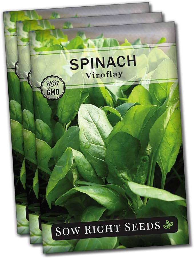 Sow Right Seeds - Viroflay Spinach Seed for Planting - Non-GMO Heirloom Packet with Instructions to Plant a Vegetable Garden - Grow Leafy Green Nutritious Superfood - Hydroponic Growing Friendly (3)
