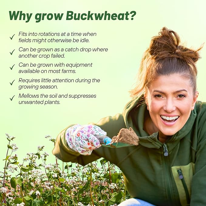 Outsidepride Buckwheat Seeds - 10lbs Annual, Fast-Growing, Easy to Grow Buckwheat Cover Crop Seeds for Green Manure, Bee Pasture & Pollinators, Wildlife Habitat, Soil Improvement, and Erosion Control