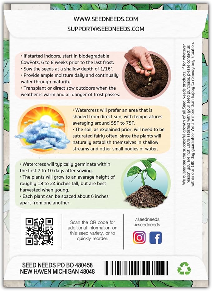 Seed Needs Watercress Seeds for Planting - Non-GMO, Heirloom & Untreated - Organically Grow Your own Culinary Herb Garden Indoors or Outdoors (5 Packs)