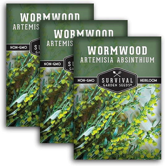 Wormwood Seeds for Planting - 3 Packets with Instructions to Plant and Grow Beneficial Medicinal Herbs in Your Home Herb Garden - Non-GMO Heirloom Variety - Survival Garden Seeds