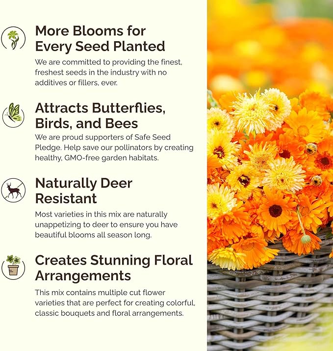 Eden Brothers Partial Shade Wildflower Mixed Seeds for Planting, 5 lb, 2,400,000+ Seeds with Sweet William, Foxglove | Attracts Pollinators, Plant in Spring or Fall, Zones 3, 4, 5, 6, 7, 8, 9, 10