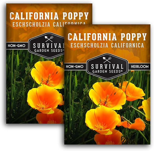 Survival Garden Seeds 2 Packets California Poppy for Planting - Seed Packs with Instructions to Grow Eschscholzia Californica Plants in Your Home Flower Garden - Non-GMO Heirloom Wildflower Variety