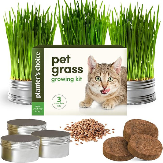 Grow Your Own Cat Grass for Indoor Cats Kit - 3 Complete Growing Kits - Plant Seeds, Pets Health Supplies Stuff - Gift for Pet Lover