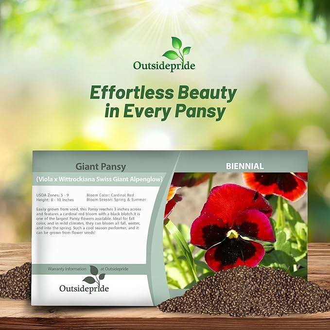 Outsidepride 1000 Seeds Viola Pansy Red Alpenglow Flower Seeds for Planting