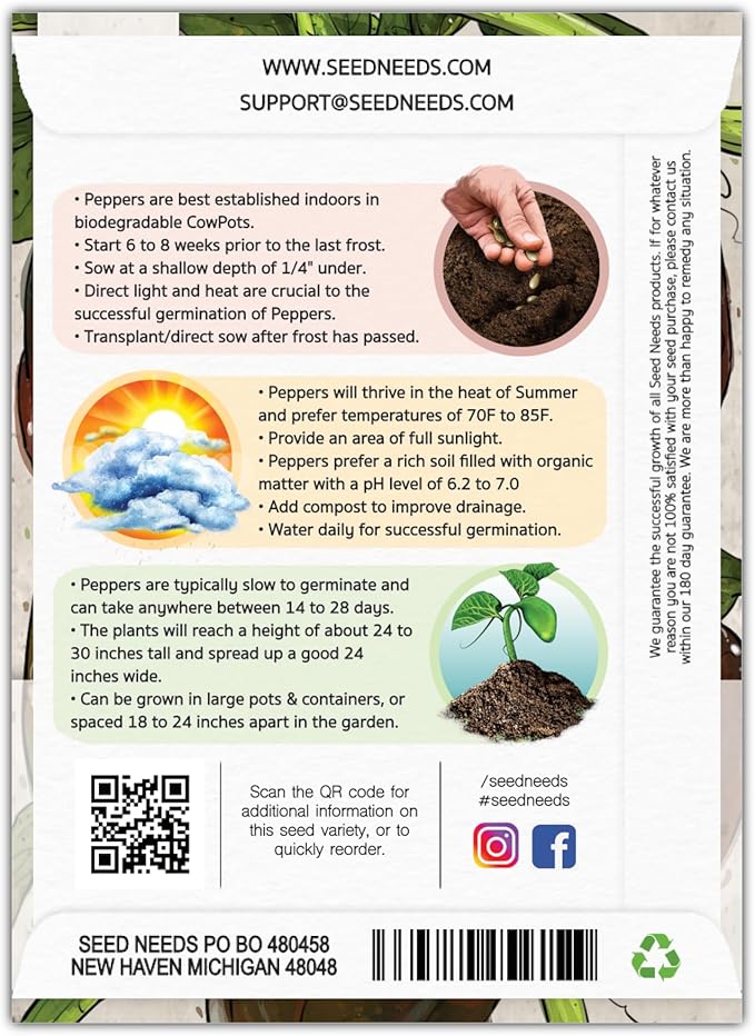 Seed Needs, Chocolate Habanero Pepper Seeds - 60 Heirloom Seeds for Planting Capsicum chinense - 100,000 to 350,000 Scoville Units, Non-GMO & Untreated (1 Pack)