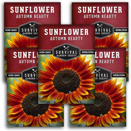 Survival Garden Seeds - Autumn Beauty Sunflower Seed for Planting - 5 Packs with Instructions to Plant and Grow Beautiful and Colorful Flowers in Your Home Vegetable Garden - Non-GMO Heirloom Variety