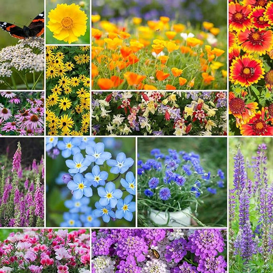 Eden Brothers Deer Resistant Wildflower Mixed Seeds for Planting, 1/4 lb, 120,000+ Seeds with Foxglove, Forget Me Not | Attracts Pollinators, Plant in Spring or Fall, Zones 3, 4, 5, 6, 7, 8, 9, 10
