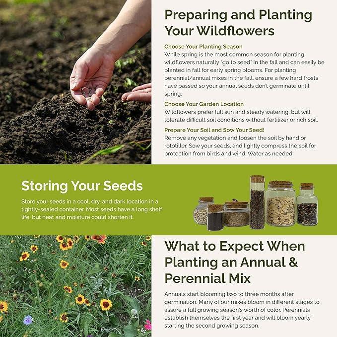 Eden Brothers Florida Wildflower Mixed Seeds for Planting, 1 lb, 480,000+ Seeds with Cornflower, Cosmos, African Daisy | Attracts Pollinators, Plant in Spring or Fall, Zones 3, 4, 5, 6, 7, 8, 9, 10