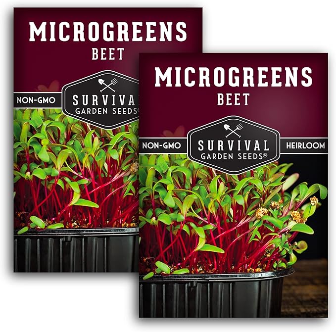 2 Packs Beet Microgreens Seeds for Sprouting and Growing - Sprout Green Leafy Micro Vegetable Plants Indoors - Grow Your Own Mini Windowsill Garden - Non-GMO Heirloom - Survival Garden Seeds