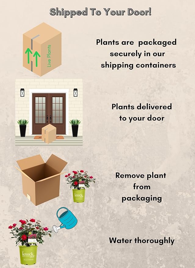 Double Rose, 2 Gal, Red Blooms (Double Red)