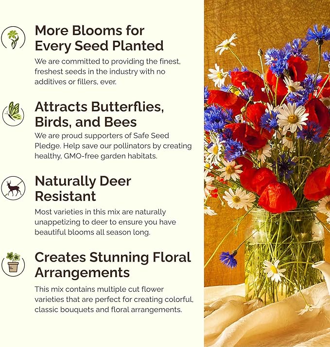 Eden Brothers Field of Dreams Flower Mixed Seeds for Planting, 1/4 lb, 120,000+ Seeds with German Chamomile, Cornflower | Attracts Pollinators, Plant in Spring or Fall, Zones 3, 4, 5, 6, 7, 8, 9, 10
