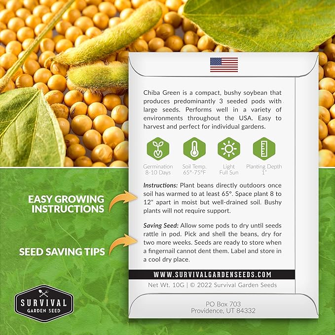 Survival Garden Seeds - Chiba Green Soybean Seed for Planting - 3 Packs with Instructions to Plant and Grow Protein-Rich Edamame Pods in Your Home Vegetable Garden - Non-GMO Heirloom Variety