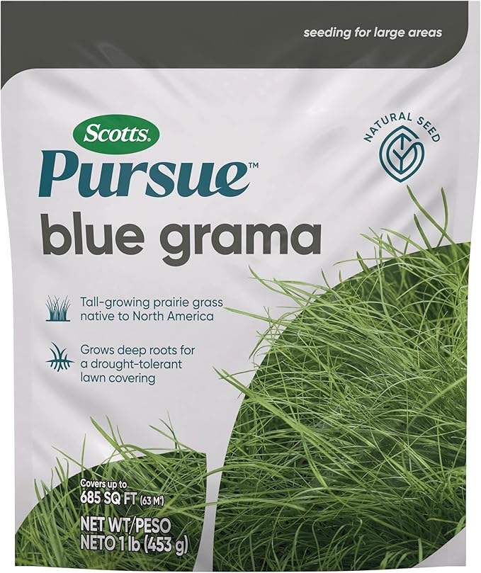 Scotts Pursue Blue Grama with Natural Seed, Seeding for Large Areas, 1 lb.