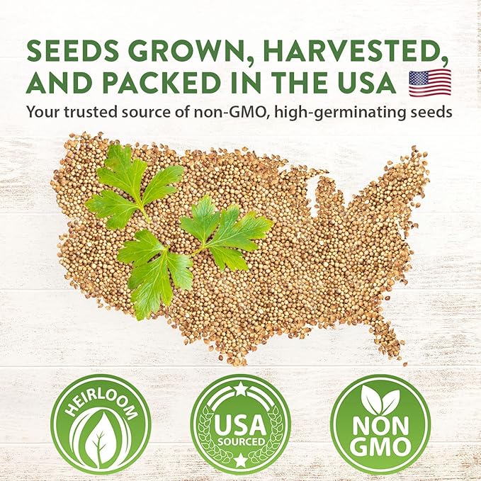 Rooted Acre 8 Lettuce & Greens Seed Vault - 1200 Non-GMO, Vegetable Heirloom Seeds for Planting Indoor or Outdoor - Hydroponic Garden Seeds - Salad Greens Mix - Spinach, Kale, Lettuce, and More