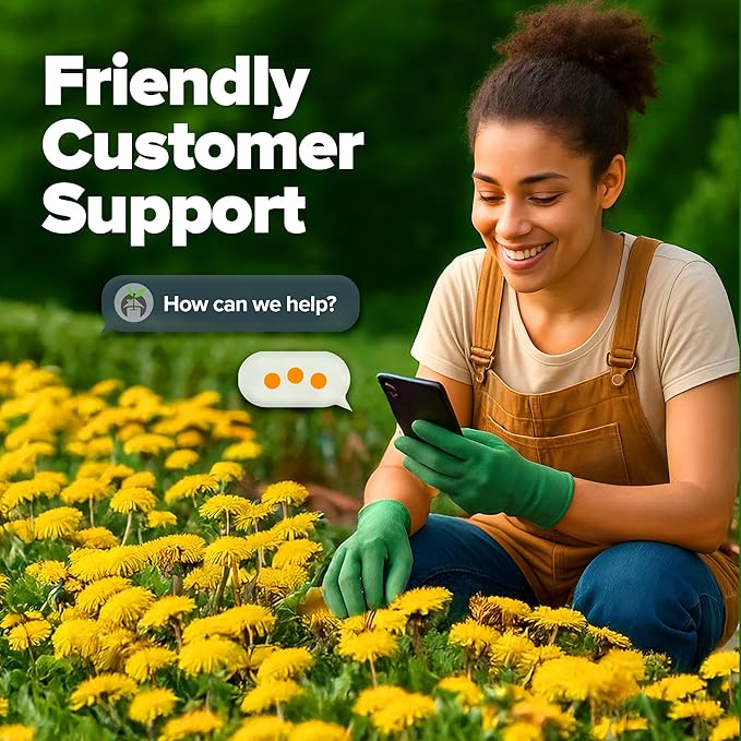 HOME GROWN 𝗨𝗦𝗔 𝗣𝗥𝗘𝗠𝗜𝗨𝗠 Dandelion Seeds for Planting – 600 Heirloom Medicinal Herb Seeds (~0.3g) 𝗡𝗢𝗡-𝗚𝗠𝗢 Grow Edible Leaves and Flowers for Remedies or Wildlife (Taraxacum officinale)