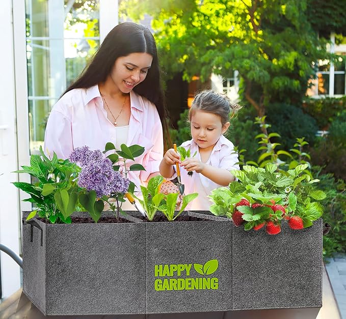 Fabric Grow Bags, 2-Pack Raised Garden Bed with Handle for Vegetable Herbs, Fabric Plant Pots Indoor Outdoor, 3 sq. ft.