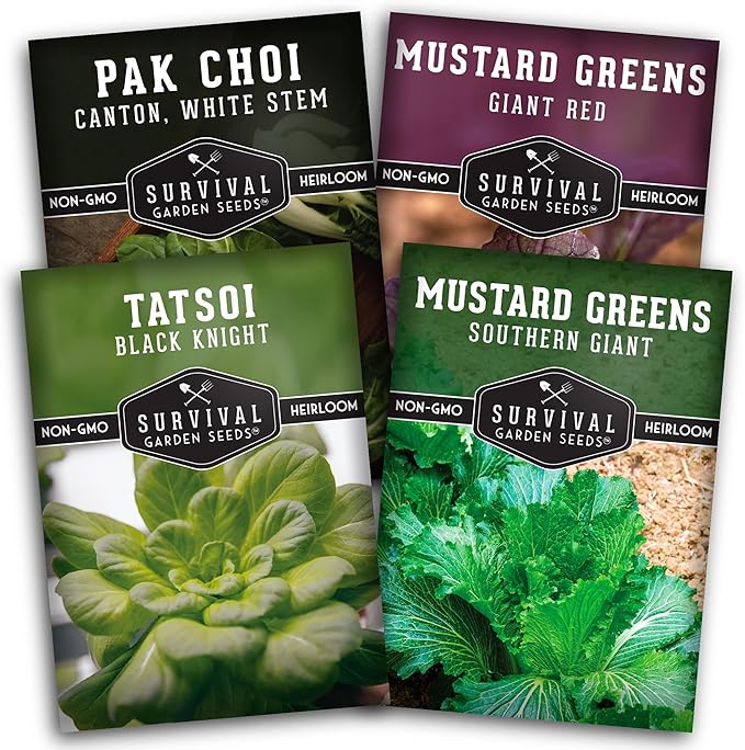 Mustard Green Seed Collection - 4 Packets for Planting Black Knight Tatsoi, Canton White Stem Pak Choi, Giant Red & Southern Giant Mustard Greens - Non-GMO Heirloom Varieties - Survival Garden Seeds