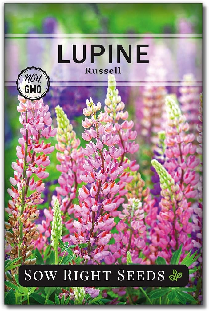 Sow Right Seeds - Russell Lupine Seeds for Planting - Non-GMO Heirloom Packet with Instructions to Plant in Your Garden - Perennial Flower to Attract Hummingbirds and Bees - Spiked Wildflower Mix (1)