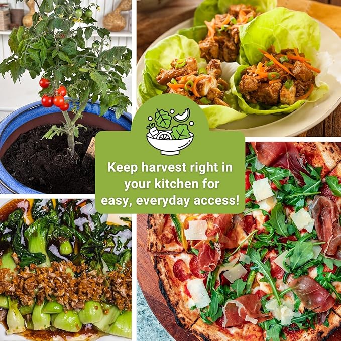 Sow Right Seeds - Hydroponic Vegetable Seeds for Planting - Lettuce, Kale, Arugula, Pak Choi, Watercress & Cherry Tomato Seeds for Planting and Growing Hydroponics - Perfect for Indoor Growing System