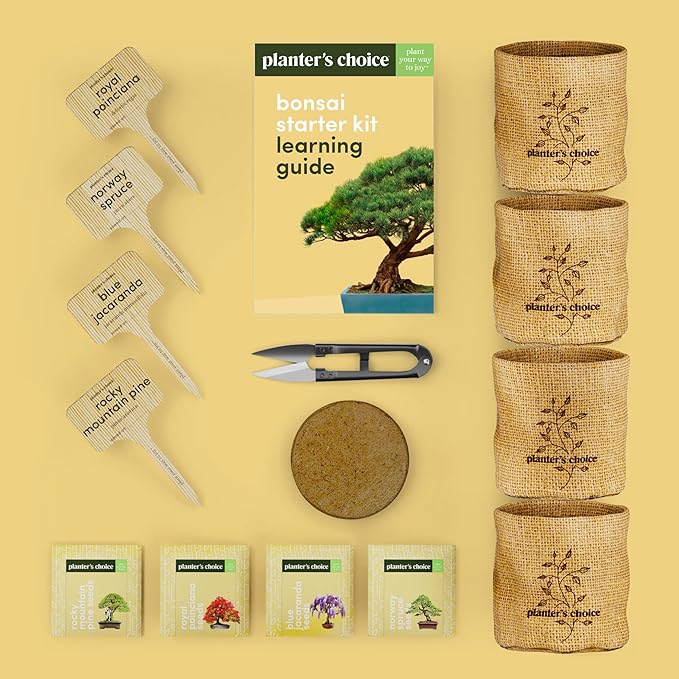 Bonsai Starter Kit - Gardening Gift for Women & Men - Bonsai Tree Growing Garden Crafts Hobby Kits for Adults, Unique DIY Hobbies for Plant Lovers - Unusual Christmas Gifts Ideas - or Gardener Mother