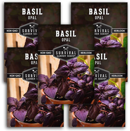 Survival Garden Seeds - Opal Basil Seed for Planting - 5 Packs with Instructions to Plant and Grow Delicious & Unique Purple Basil Herb Plants in Your Home Vegetable Garden - Non-GMO Heirloom Variety