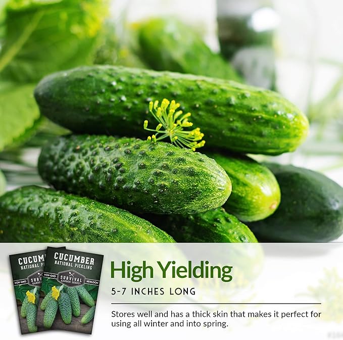 Survival Garden Seeds - National Pickling Cucumber Seed for Planting - Packet with Instructions to Plant and Grow Cucumis Sativus in Your Home Vegetable Garden - Non-GMO Heirloom Variety