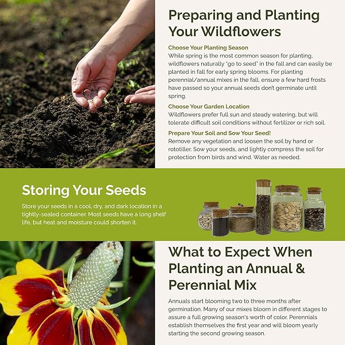 Eden Brothers Conehead Flower Mixed Seeds for Planting, 1 lb, 480,000+ Seeds with Prairie Coneflower, Mexican Hat | Attracts Pollinators, Plant in Spring or Fall, Zones 3, 4, 5, 6, 7, 8, 9, 10