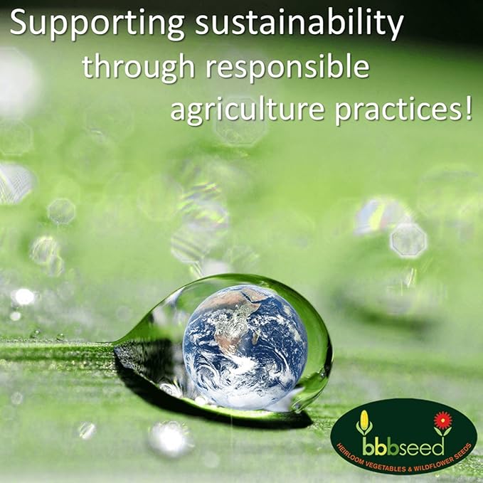 Partial Shade Wildflower Seeds -1 oz, Open-Pollinated Wildflower Seed Mix Packet, No Fillers, Annual, Perennial Wildflower Seeds Year Round Planting - 1 oz