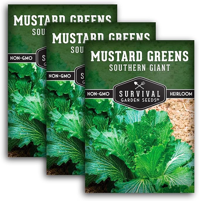 Survival Garden Seeds - Southern Giant Mustard Greens Seed for Planting - 3 Packets with Instructions to Grow Spicy Brassica Juncea Leaves in Your Home Vegetable Garden - Non-GMO Heirloom Variety