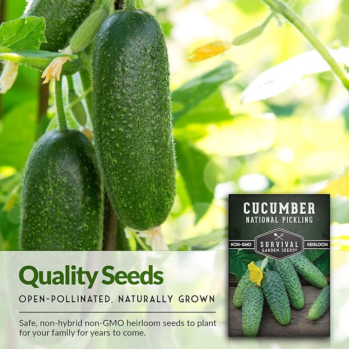 Survival Garden Seeds - National Pickling Cucumber Seed for Planting - Packet with Instructions to Plant and Grow Cucumis Sativus in Your Home Vegetable Garden - Non-GMO Heirloom Variety