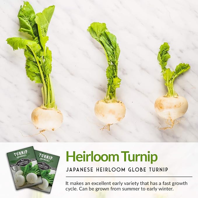 Survival Garden Seeds - Turnip Snowball Seed for Planting - 5 Packs with Instructions to Plant and Grow Root Vegetables and Greens in Your Home Vegetable Garden - Non-GMO Heirloom Variety - Fall Seeds