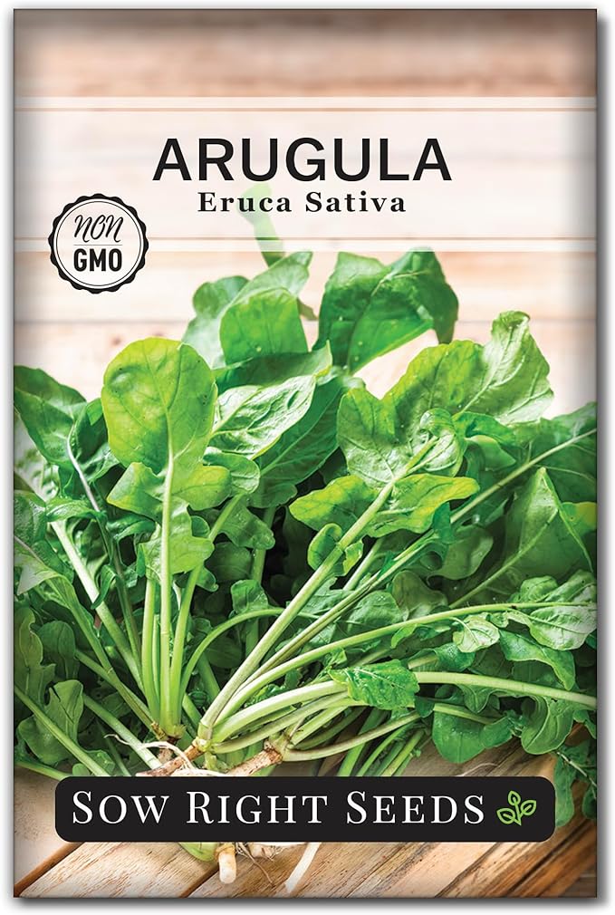 Sow Right Seeds - Arugula Seeds for Planting - Non-GMO Heirloom Seeds with Instructions to Plant a Home Vegetable Garden - Indoors, Hydroponics or Outdoors - Salad Greens - Grow Kitchen Herbs (1)