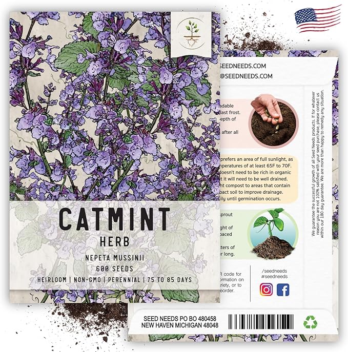 Seed Needs, Catmint Seeds for Cats - 600 Heirloom Seeds for Planting Nepeta mussinii - Perennial Flowering Medicinal Herb Non-GMO & Untreated (2 Packs)