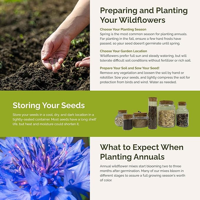 Eden Brothers Field Day Flower Mixed Seeds for Planting, 1/4 lb, 120,000+ Seeds with Zinnia Lilliput, Calendula Mix | Attracts Pollinators, Plant in Spring or Fall, Zones 3, 4, 5, 6, 7, 8, 9, 10