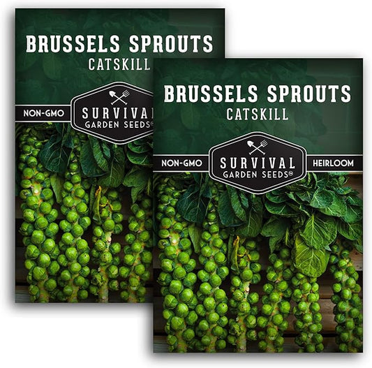 Survival Garden Seeds - Catskill Brussels Sprouts Seed for Planting - 2 Packs with Instructions to Plant and Grow Tasty Cruciferous Vegetables in Your Home Vegetable Garden - Non-GMO Heirloom Variety