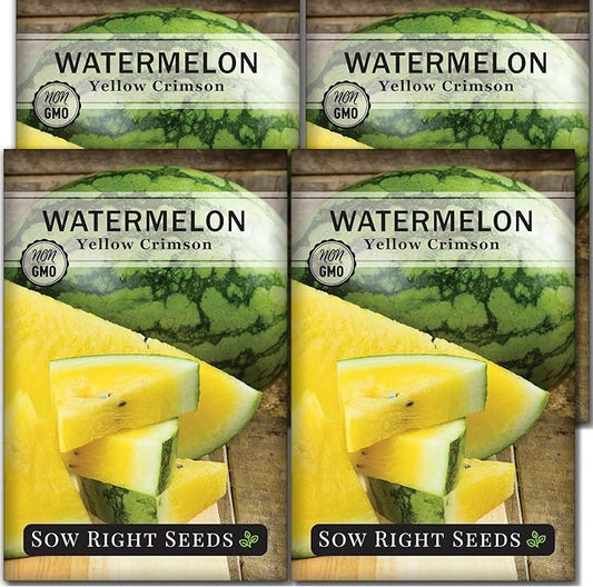 Sow Right Seeds - Yellow Crimson Sweet Watermelon Seed for Planting - Non-GMO Heirloom Packet with Instructions to Plant a Home Vegetable Garden - Rare Yellow Flesh Melon with Sweet Flavor (4)