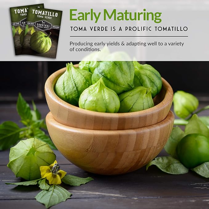 Survival Garden Seeds - Toma Verde Tomatillo Seed for Planting - 3 Packs with Instructions to Plant & Grow Green Salsa Vegetables in Your Home Vegetable Garden - Non-GMO Heirloom Variety