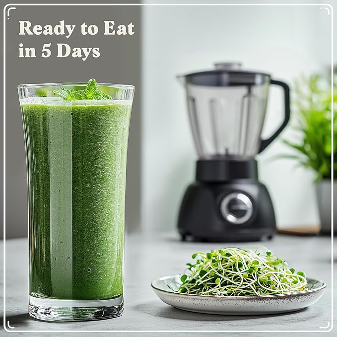 Organic Sprouting Seeds - Smoothie Blend - Non-GMO, USA Grown Microgreens Mix - Alfalfa, Broccoli, Clover, Red Kale - Makes 8 Quarts of Sprouts, 24 Servings (8 oz) (Smoothie Blend)