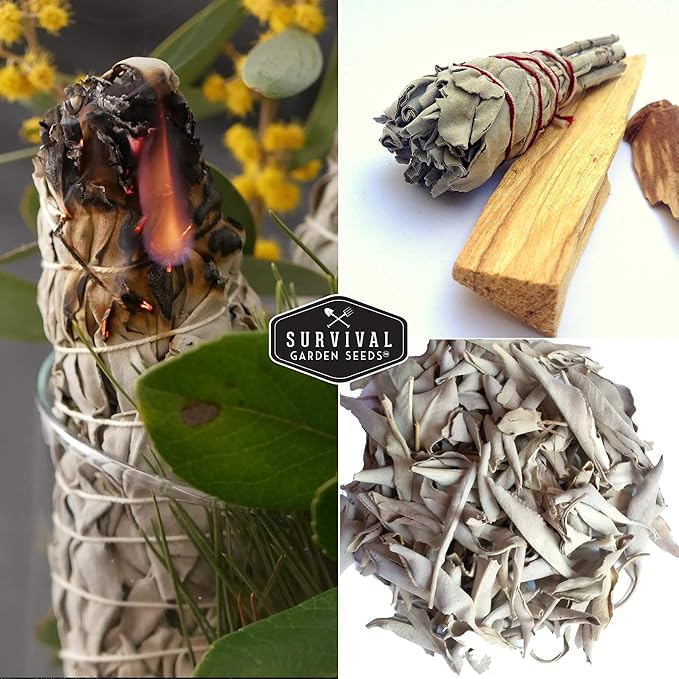Survival Garden Seeds - 3 Packs White Sage Seed for Planting- Grow Sustainable Smudging Herbs - Packet with Instructions to Plant & Grow in Your Home Garden - Non-GMO Heirloom Variety