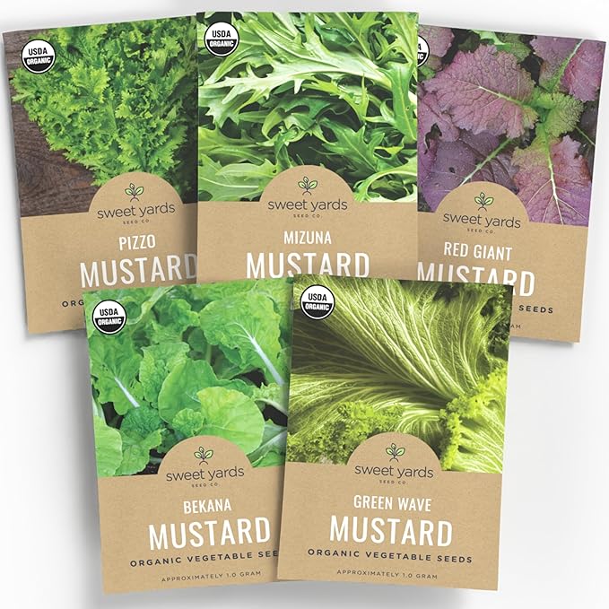 Organic Mustard Green Seeds Variety Pack - 5 Individual Packs - 2025 Season - Mizuna, Pizzo, Bekana, Red Giant and Green Wave! for Indoor & Outdoor Planting (Non-GMO, Certified Organic)