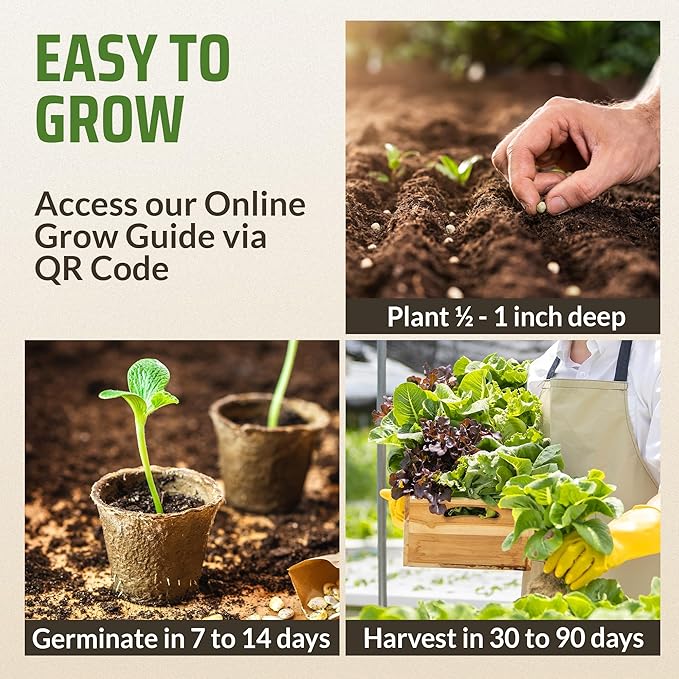 Rooted Acre 15 Lettuce & Green Seeds Pack | Non-GMO Heirloom Seeds | Garden Salad Greens Seeds | Hydroponic Vegetable Seeds for Planting Indoor | Romaine, Kale, Spinach, Arugula, & Butter Lettuce Seed