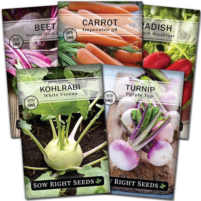 Sow Right Seeds - Root Vegetable Collection for Planting - Individual Packets of Beet, Carrot, Kohlrabi, Radish & Turnip - Non-GMO Heirloom Seeds to Plant an Outdoor Home Vegetable Garden