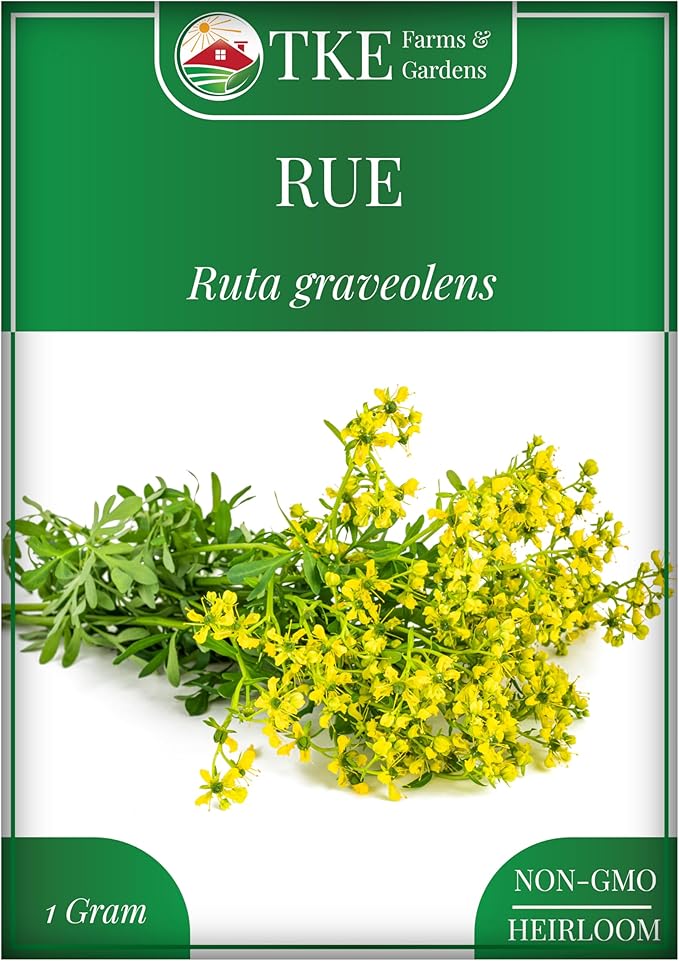 TKE Farms & Gardens - Rue Seeds for Planting, 1 Gram, 500 Heirlooom Seeds, Non-GMO, Instructions Included, Ruta graveolens, Qty 1