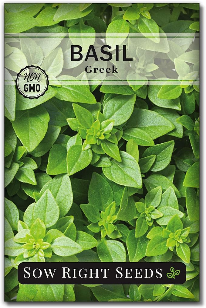 Sow Right Seeds - Greek Basil Seed for Planting - Non-GMO Heirloom Packet with Instructions for Easy Planting and Growing a Kitchen Herb Garden - Indoors & Outdoor - Small Leaved Dwarf Sweet Basil (1)