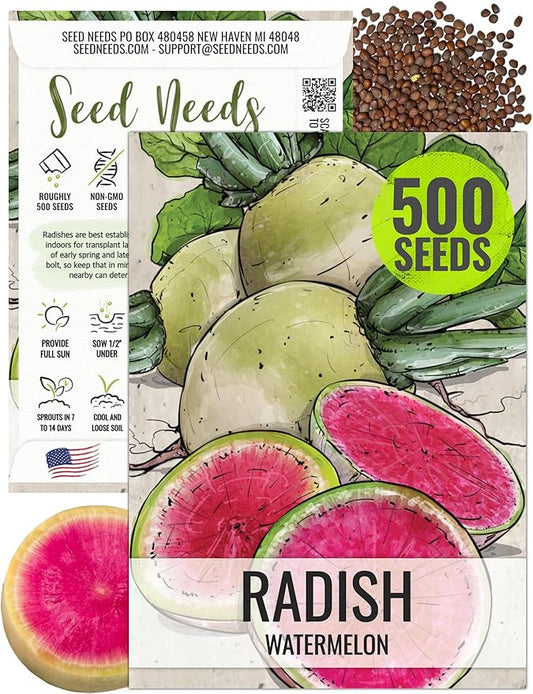 Seed Needs Watermelon Radish Seeds for Planting - Non-GMO, Heirloom & Untreated - Organically Grow a Home Grown Vegetable Garden - Cool Weather Crops (1 Pack)