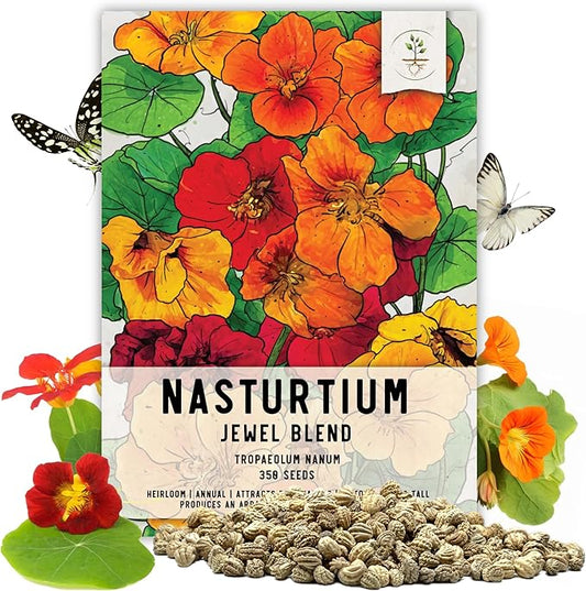 Seed Needs, 1.5 Ounce 350+ Nasturtium Seeds “Jewel Mixture (Tropaeolum nanum) Edible Blooms, Non-GMO, Easy to Grow, Mixed Colors Flower Seeds Mix, Attracts Pollinators - Bulk