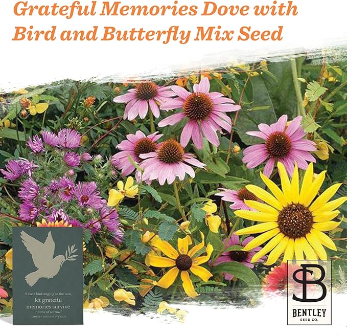 Grateful Memories Dove with Bird and Butterfly Mix Seed Favor Packets - Gardening Gifts - Wild Flower Seeds for Planting - Garden or Indoor Plant Flowers - Growing Plants in Memory