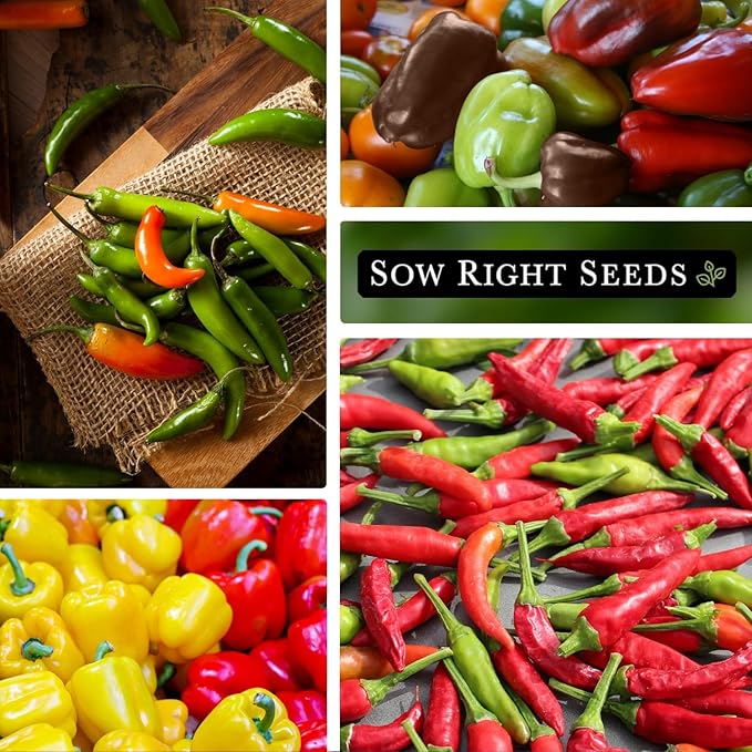 Sow Right Seeds - Hot & Sweet Pepper Seed Collection for Planting - Sunbright, Chocolate, Cayenne, California Wonder, Jalapeno, Anaheim, Cubanelle and Serrano - Non-GMO Heirloom Seeds to Plant